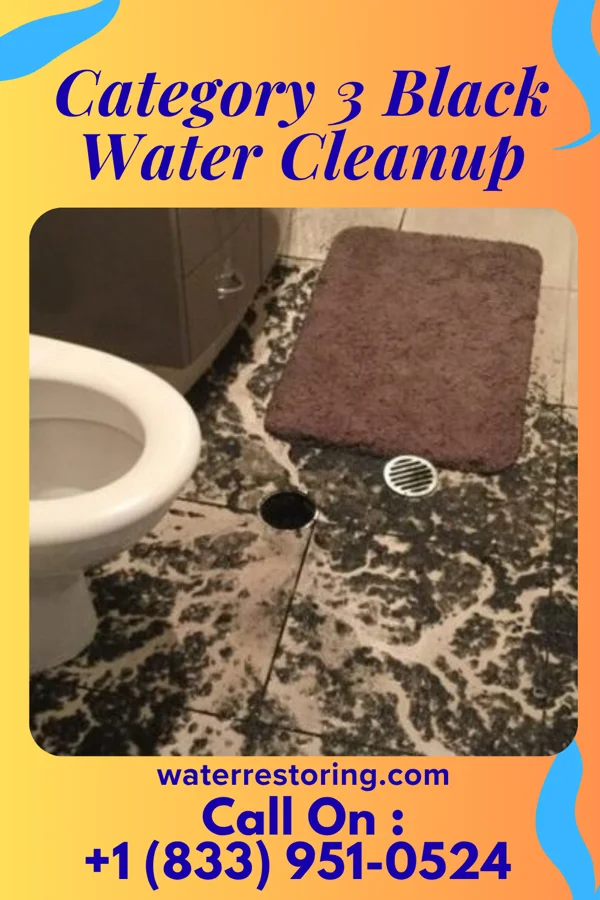 Category 3 Black Water Cleanup in Sickles Corner, PA