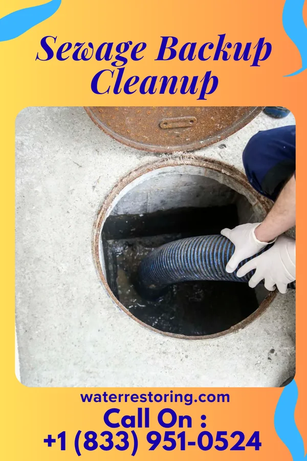 Sewage Backup Cleanup in Sickles Corner, PA